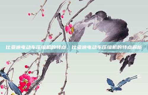 比亚迪电动车压缩机的特点,比亚迪电动车压缩机的特点解析