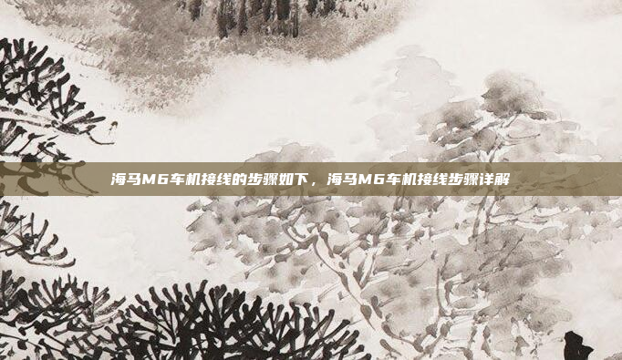 海马M6车机接线的步骤如下,海马M6车机接线步骤详解