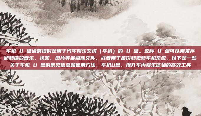 车机 U 盘通常指的是用于汽车娱乐系统（车机）的 U 盘。这种 U 盘可以用来存储和播放音乐、视频、图片等多媒体文件，或者用于备份和更新车机系统。以下是一些关于车机 U 盘的常见信息和使用方法，车机U盘，提升车内娱乐体验的高效工具