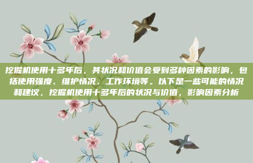 挖掘机使用十多年后,其状况和价值会受到多种因素的影响,包括使用强度、维护情况、工作环境等。以下是一些可能的情况和建议,挖掘机使用十多年后的状况与价值,影响因素分析