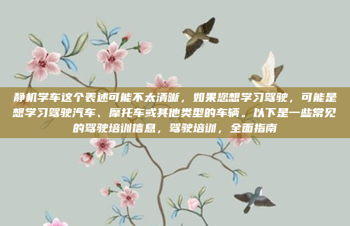 静机学车这个表述可能不太清晰，如果您想学习驾驶，可能是想学习驾驶汽车、摩托车或其他类型的车辆。以下是一些常见的驾驶培训信息，驾驶培训，全面指南