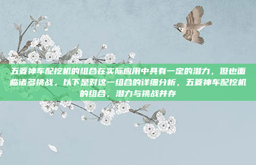 五菱神车配挖机的组合在实际应用中具有一定的潜力,但也面临诸多挑战。以下是对这一组合的详细分析,五菱神车配挖机的组合,潜力与挑战并存