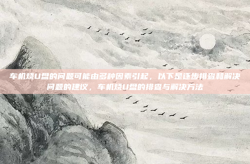 车机烧U盘的问题可能由多种因素引起,以下是逐步排查和解决问题的建议,车机烧U盘的排查与解决方法