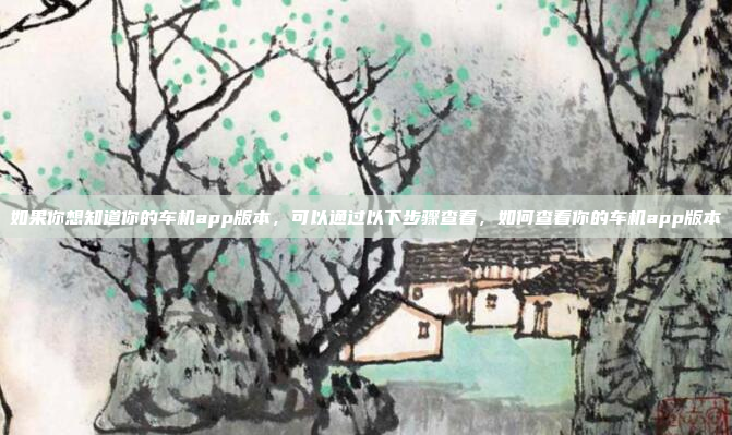 如果你想知道你的车机app版本，可以通过以下步骤查看，如何查看你的车机app版本