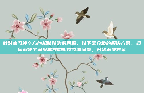 针对宝马冷车方向机吱吱响的问题,以下是分步的解决方案,如何解决宝马冷车方向机吱吱响问题,分步解决方案