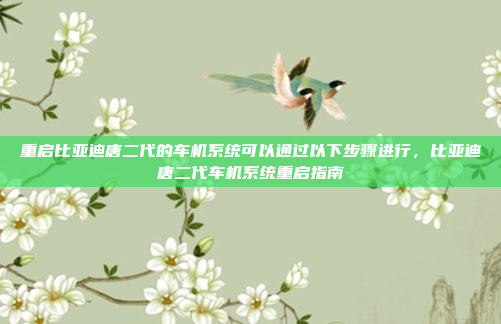 重启比亚迪唐二代的车机系统可以通过以下步骤进行,比亚迪唐二代车机系统重启指南