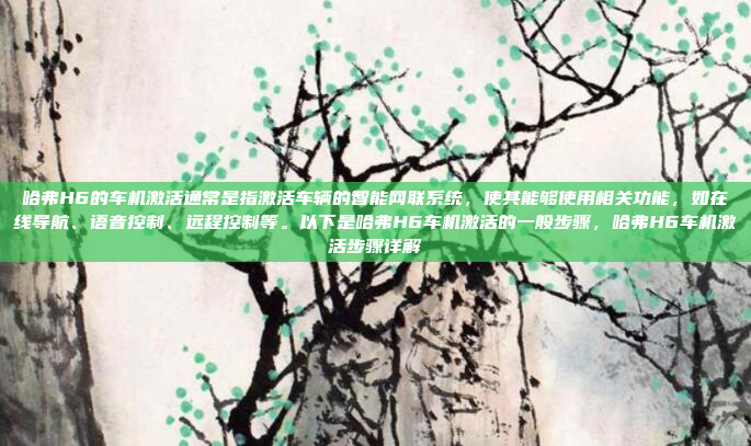哈弗H6的车机激活通常是指激活车辆的智能网联系统,使其能够使用相关功能,如在线导航、语音控制、远程控制等。以下是哈弗H6车机激活的一般步骤,哈弗H6车机激活步骤详解