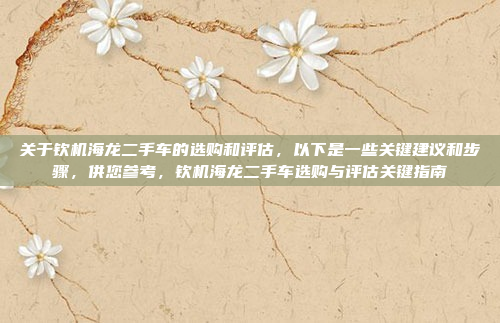 关于钦机海龙二手车的选购和评估，以下是一些关键建议和步骤，供您参考，钦机海龙二手车选购与评估关键指南