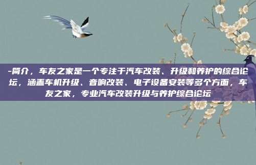 -简介，车友之家是一个专注于汽车改装、升级和养护的综合论坛，涵盖车机升级、音响改装、电子设备安装等多个方面，车友之家，专业汽车改装升级与养护综合论坛