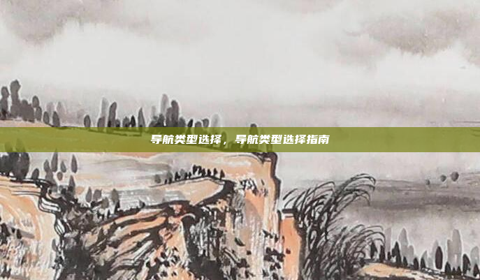 导航类型选择,导航类型选择指南