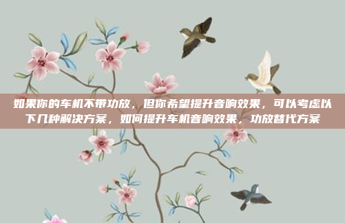 如果你的车机不带功放,但你希望提升音响效果,可以考虑以下几种解决方案,如何提升车机音响效果,功放替代方案