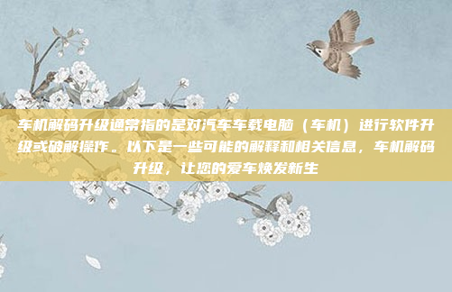 车机解码升级通常指的是对汽车车载电脑（车机）进行软件升级或破解操作。以下是一些可能的解释和相关信息，车机解码升级，让您的爱车焕发新生