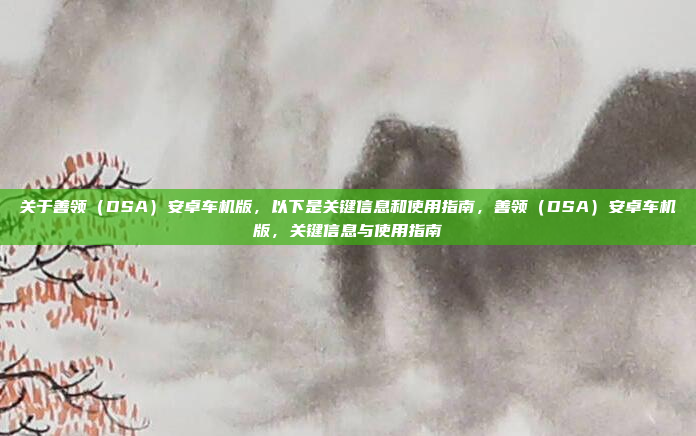 关于善领（DSA）安卓车机版，以下是关键信息和使用指南，善领（DSA）安卓车机版，关键信息与使用指南