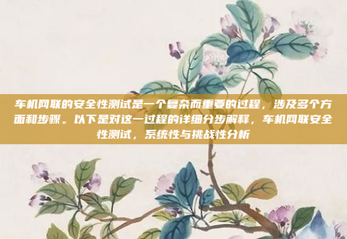 车机网联的安全性测试是一个复杂而重要的过程,涉及多个方面和步骤。以下是对这一过程的详细分步解释,车机网联安全性测试,系统性与挑战性分析
