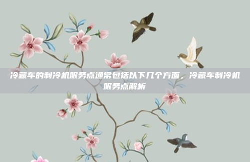 冷藏车的制冷机服务点通常包括以下几个方面,冷藏车制冷机服务点解析