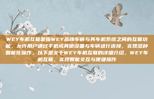 关于Android车机预装亿连的问题,亿连(YiCon)是一家专注于车载娱乐系统的公司,其产品通常会集成到Android车机系统中,为用户提供语音控制、娱乐娱乐、导航等功能。以下是一些可能相关的信息,Android车机预装亿连系统,集成语音控制与娱乐服务