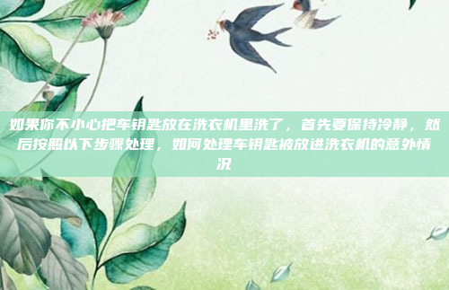 如果你不小心把车钥匙放在洗衣机里洗了,首先要保持冷静,然后按照以下步骤处理,如何处理车钥匙被放进洗衣机的意外情况