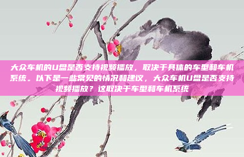大众车机的U盘是否支持视频播放，取决于具体的车型和车机系统。以下是一些常见的情况和建议，大众车机U盘是否支持视频播放？这取决于车型和车机系统