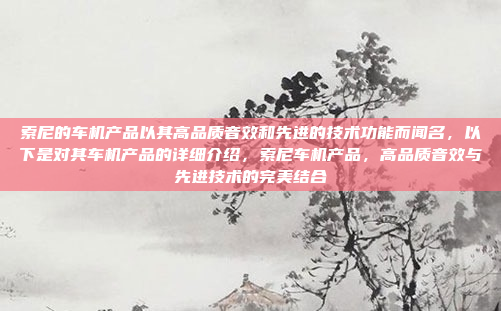 索尼的车机产品以其高品质音效和先进的技术功能而闻名，以下是对其车机产品的详细介绍，索尼车机产品，高品质音效与先进技术的完美结合