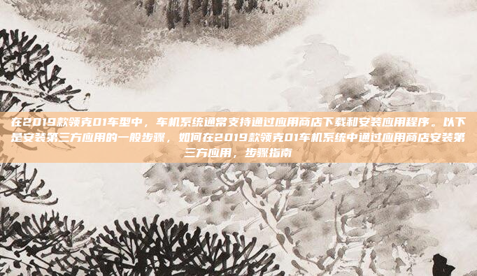 在2019款领克01车型中,车机系统通常支持通过应用商店下载和安装应用程序。以下是安装第三方应用的一般步骤,如何在2019款领克01车机系统中通过应用商店安装第三方应用,步骤指南