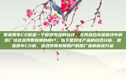 世嘉原车CD机是一个值得考虑的选择,尤其适合希望保持车辆原厂状态且预算有限的用户。以下是对该产品的综合分析,世嘉原车CD机,适合预算有限用户的原厂音响解决方案