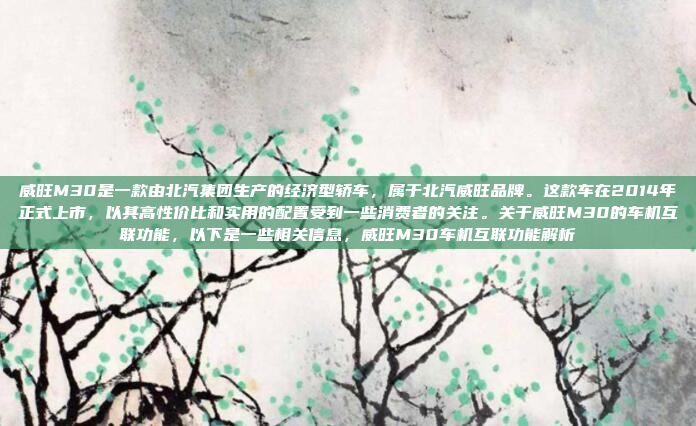 威旺M30是一款由北汽集团生产的经济型轿车,属于北汽威旺品牌。这款车在2014年正式上市,以其高性价比和实用的配置受到一些消费者的关注。关于威旺M30的车机互联功能,以下是一些相关信息,威旺M30车机互联功能解析