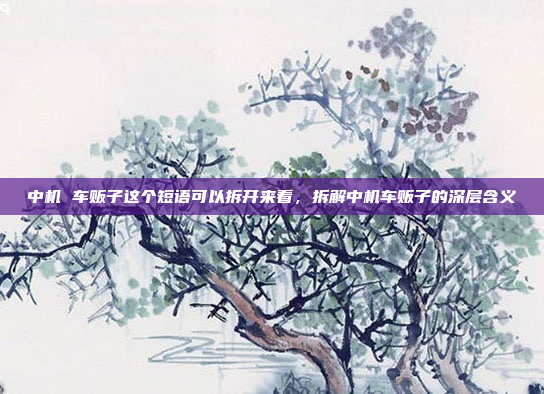 中机 车贩子这个短语可以拆开来看，拆解中机车贩子的深层含义