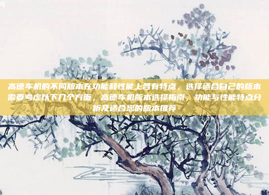 高德车机的不同版本在功能和性能上各有特点,选择适合自己的版本需要考虑以下几个方面,高德车机版本选择指南,功能与性能特点分析及适合您的版本推荐