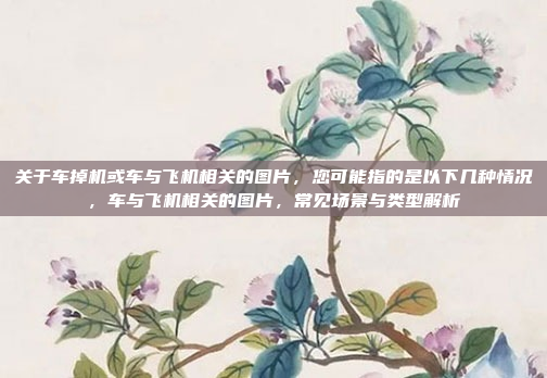 关于车掉机或车与飞机相关的图片，您可能指的是以下几种情况，车与飞机相关的图片，常见场景与类型解析