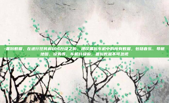 -备份数据,在进行任何解码或升级之前,建议备份车机中的所有数据,包括音乐、导航地图、设置等,车机升级前,备份数据不可忽视