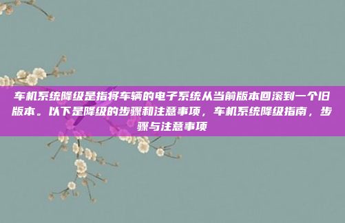 车机系统降级是指将车辆的电子系统从当前版本回滚到一个旧版本。以下是降级的步骤和注意事项,车机系统降级指南,步骤与注意事项