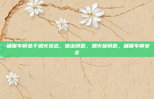 -确保车辆处于熄火状态，拔出钥匙，熄火拔钥匙，确保车辆安全