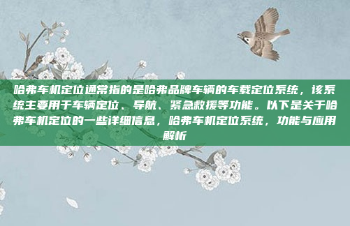 哈弗车机定位通常指的是哈弗品牌车辆的车载定位系统,该系统主要用于车辆定位、导航、紧急救援等功能。以下是关于哈弗车机定位的一些详细信息,哈弗车机定位系统,功能与应用解析