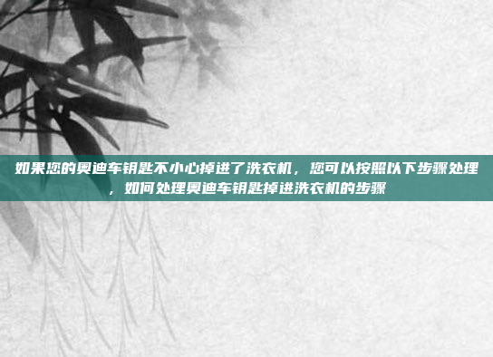 如果您的奥迪车钥匙不小心掉进了洗衣机,您可以按照以下步骤处理,如何处理奥迪车钥匙掉进洗衣机的步骤