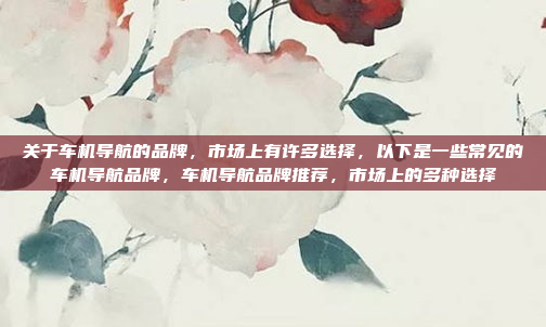 关于车机导航的品牌,市场上有许多选择,以下是一些常见的车机导航品牌,车机导航品牌推荐,市场上的多种选择