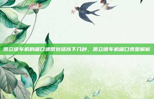 凯立德车机的端口通常包括以下几种,凯立德车机端口类型解析