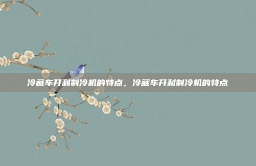 冷藏车开利制冷机的特点,冷藏车开利制冷机的特点