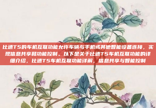 比速T5的车机互联功能允许车辆与手机或其他智能设备连接,实现信息共享和功能控制。以下是关于比速T5车机互联功能的详细介绍,比速T5车机互联功能详解,信息共享与智能控制