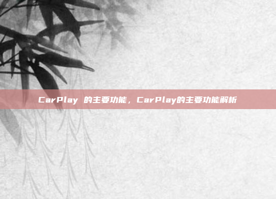 CarPlay 的主要功能,CarPlay的主要功能解析