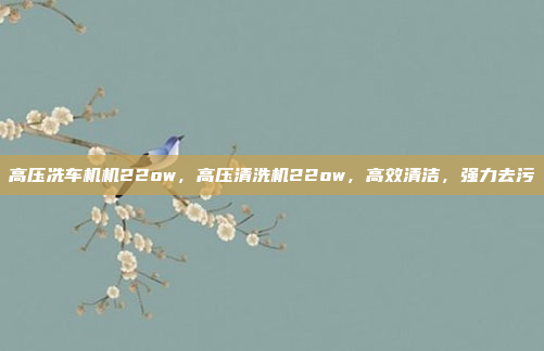 高压冼车机机22ow,高压清洗机22ow,高效清洁,强力去污