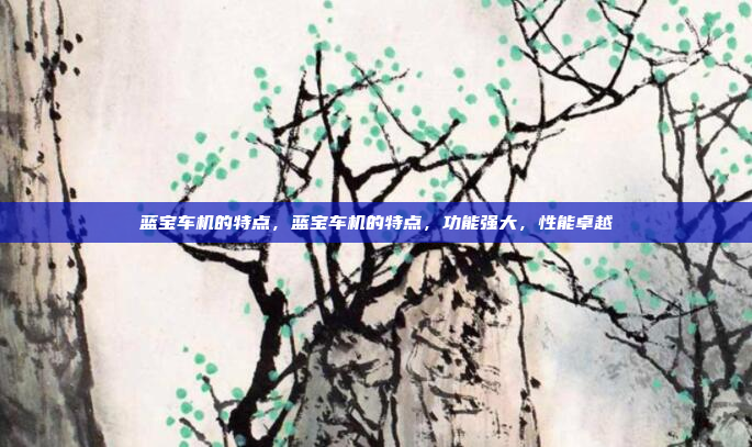 蓝宝车机的特点,蓝宝车机的特点,功能强大,性能卓越