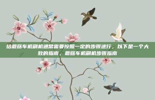 给蘑菇车机刷机通常需要按照一定的步骤进行,以下是一个大致的指南,蘑菇车机刷机步骤指南