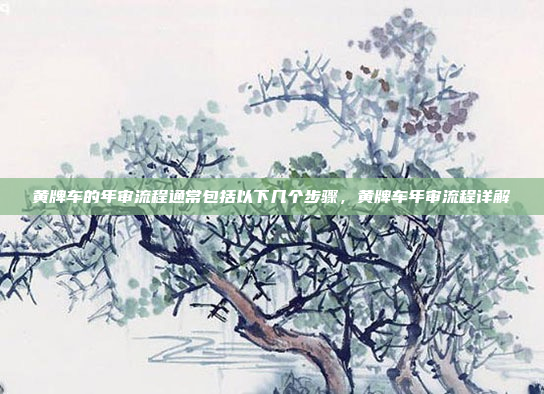 黄牌车的年审流程通常包括以下几个步骤，黄牌车年审流程详解