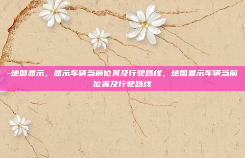-地图显示，显示车辆当前位置及行驶路线，地图显示车辆当前位置及行驶路线
