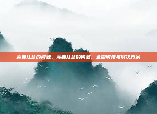 需要注意的问题,需要注意的问题,全面解析与解决方案