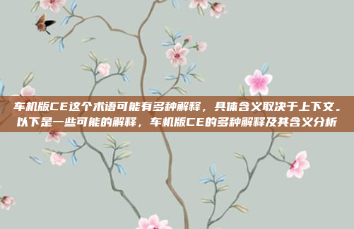 车机版CE这个术语可能有多种解释,具体含义取决于上下文。以下是一些可能的解释,车机版CE的多种解释及其含义分析
