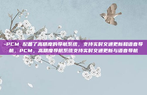 -PCM 配备了高精度的导航系统,支持实时交通更新和语音导航,PCM,高精度导航系统支持实时交通更新与语音导航