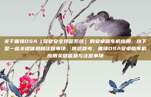 关于善领DSA（驾驶安全预警系统）的安卓版车机应用，以下是一些关键信息和注意事项，供您参考，善领DSA安卓版车机应用关键信息与注意事项