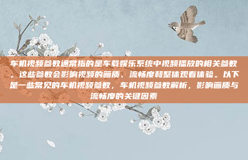 车机视频参数通常指的是车载娱乐系统中视频播放的相关参数。这些参数会影响视频的画质、流畅度和整体观看体验。以下是一些常见的车机视频参数,车机视频参数解析,影响画质与流畅度的关键因素