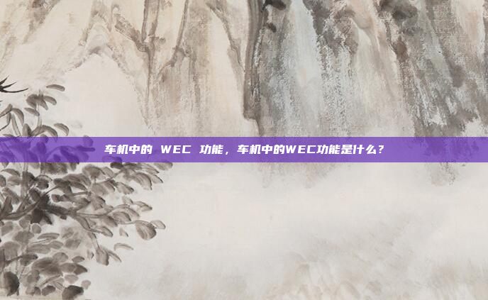 车机中的 WEC 功能,车机中的WEC功能是什么?